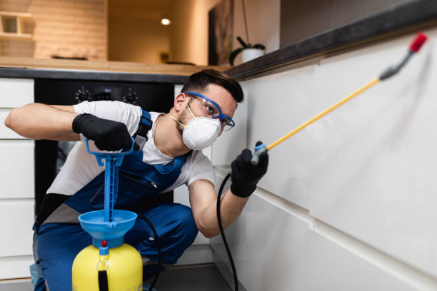 Best Affordable Pest Control Services  in Ballinger, TX