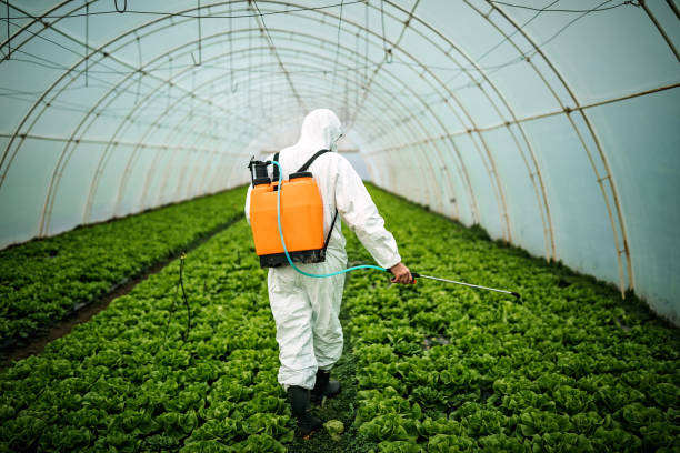 Reliable Ballinger, TX Pest Control Solutions