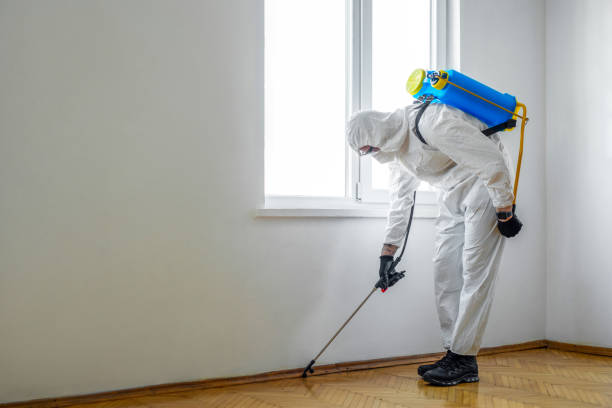 Best Flea Control Services  in Ballinger, TX