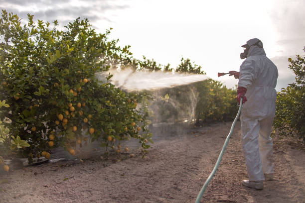 Best Commercial Pest Control Services  in Ballinger, TX