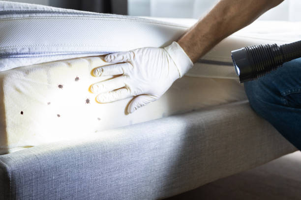 Best Pest Removal Services  in Ballinger, TX