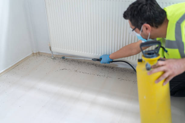 Best Cockroach Control Services  in Ballinger, TX